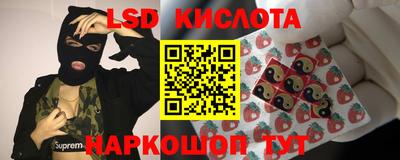 ECSTASY Бийск