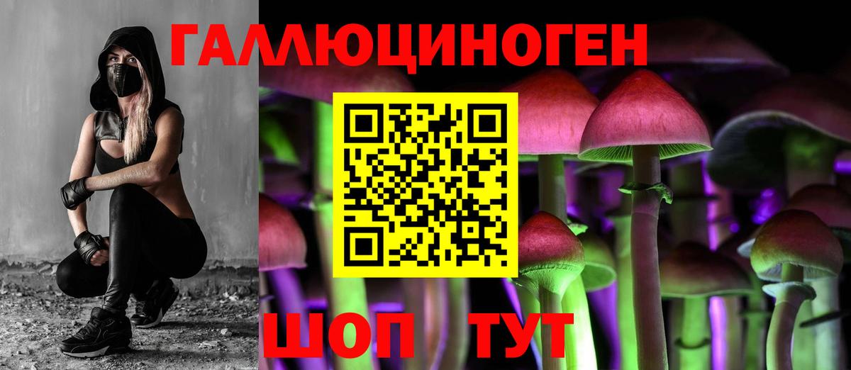 Керчь  Псилоцибиновые грибы прущие грибы  Галлюциногенные грибы GOLDEN TEACHER  Вход с VPN 
